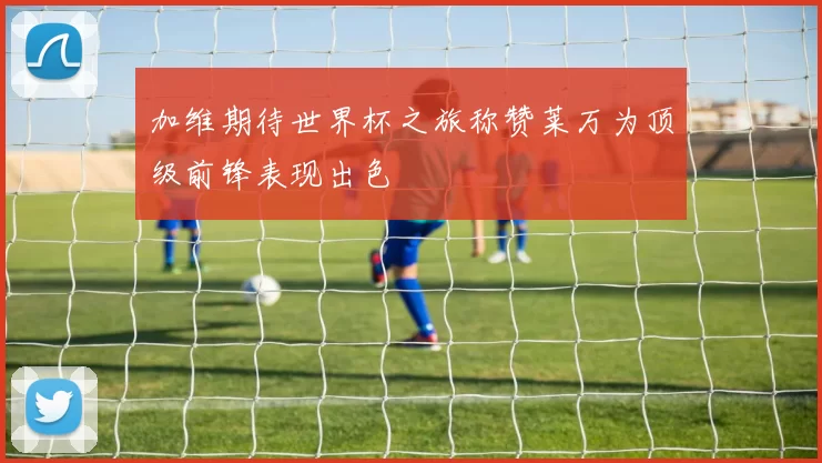 加维期待世界杯之旅称赞莱万为顶级前锋表现出色